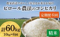 【先行予約】【令和6年産】《定期便6回》【ピロール米】ピロール農法のコシヒカリ 精米 10kg（5kg×2袋） / 一等米 福井県産 ブランド米 ご飯 白米 お米 コメ 新鮮 小分け 定期便 6回 新米 ※2024年9月下旬より順次発送