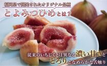 【福岡限定ブランド】いちじく とよみつひめ 300g×8パック (約2.4kg)