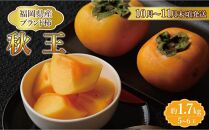 【福岡県産】秋王 約1.7kg