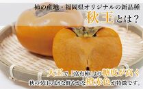 【福岡県産】秋王 約1.7kg