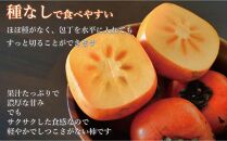 【福岡県産】秋王 約1.7kg