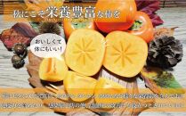 【福岡県産】秋王 約1.7kg