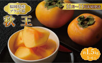 【福岡県産】秋王 約1.5kg