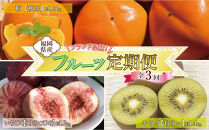 【全3回定期便】福岡県産フルーツ定期便