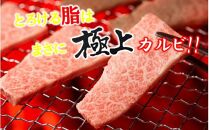 【黒毛和牛】 豊後牛／三角バラ焼肉用150g×2P (計300g)_2388R