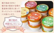 ＜季節セレクション＞クラフトジェラート種子島(計12個・6種(各90ml)×各2個)【デザート アイス スイーツ お菓子 マンゴー マンゴーミルク たんかん 種子島茶 冷凍 氷菓 詰め合わせ セット ギフト 人気 おすすめ 国産 鹿児島県 種子島 中種子町 ふるさと納税 送料無料 BM001】