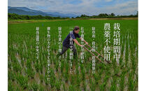 【定期便隔月お届け令和8年産新米予約】南魚沼食味コンクール4年連続優秀賞　栽培期間中農薬不使用特別栽培米10kg×6回　南魚沼塩沢産コシヒカリ【2026年10月中旬から1ヶ月以内に順次発送予定】