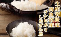 【新米予約・令和6年産】定期便３ヶ月：精米10Kg【特別栽培】 生産者限定 南魚沼しおざわ産コシヒカリ