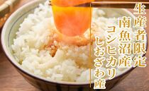 【新米予約・令和6年産】定期便12ヶ月：精米10Kg【特別栽培】 生産者限定 南魚沼しおざわ産コシヒカリ