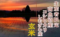 【新米予約・令和6年産】玄米6Kg 生産者限定 南魚沼しおざわ産コシヒカリ