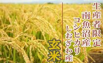 【新米予約・令和6年産】定期便３ヶ月：玄米２Kg 生産者限定 南魚沼しおざわ産コシヒカリ