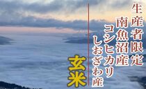 【新米予約・令和6年産】定期便３ヶ月：玄米６Kg 生産者限定 南魚沼しおざわ産コシヒカリ