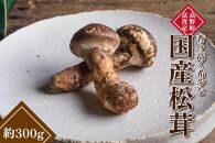 和歌山県産 香り高く希少な国産 松茸 約300g【OKT2】