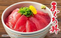 【定期便全5回】生まぐろの本場紀州勝浦から直送！ 生メバチマグロ 約600g（1カ月に1回お届け）（全5ヵ月）