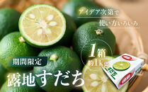 先行予約&nbsp;露地すだち&nbsp;1箱（約1kg）