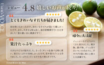先行予約&nbsp;露地すだち&nbsp;1箱（約1kg）