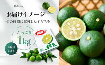 先行予約&nbsp;露地すだち&nbsp;1箱（約1kg）