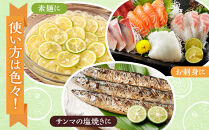 ★レビューキャンペーン対象★期間限定】露地すだち 2箱（2kg）