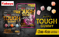 カバヤ&nbsp;タフグミ&nbsp;2種×6袋&nbsp;計12袋（タフグミ・タフグミ&nbsp;グレーピーパンチ）＜集中したい時に食べたいグミブランドNo.1＞【TOUGH&nbsp;グミ&nbsp;12個セット&nbsp;グレープ&nbsp;葡萄&nbsp;ぶどう&nbsp;グレープ味&nbsp;葡萄味&nbsp;コーラ&nbsp;コーラ味&nbsp;エナジードリンク&nbsp;エナジードリンク味&nbsp;ソーダ&nbsp;ソーダ味&nbsp;kabaya&nbsp;カバヤ&nbsp;弾力&nbsp;サワーグミ&nbsp;サワーパウダーグミ&nbsp;大粒&nbsp;タフ】