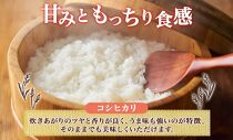 無地熨斗 令和6年産 コシヒカリ 無洗米 5kg×1袋 長野県産 米 白米 精米 お米 ごはん 甘み 産直 信州 人気 ギフト 時短 平林農園 熨斗 のし 名入れ不可 送料無料 長野県 大町市