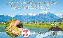 無地熨斗 令和6年産 コシヒカリ 無洗米 5kg×1袋 長野県産 米 白米 精米 お米 ごはん 甘み 産直 信州 人気 ギフト 時短 平林農園 熨斗 のし 名入れ不可 送料無料 長野県 大町市