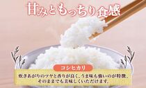 無地熨斗 令和6年産 コシヒカリ 白米 5kg×1袋 長野県産 米 精米 お米 ごはん ライス 甘み 農家直送 産直 信州 人気 ギフト 平林農園 送料無料 熨斗 のし 名入れ不可 長野県 大町市