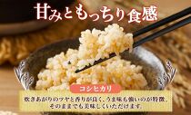 無地熨斗 令和6年産 コシヒカリ 玄米 5kg×1袋 長野県産 米 お米 ごはん ライス 低GI 甘み 農家直送 産直 信州 人気 ギフト 平林農園 熨斗 のし 名入れ不可 送料無料 長野県 大町市