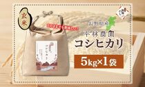 無地熨斗 令和6年産 コシヒカリ 玄米 5kg×1袋 長野県産 米 お米 ごはん ライス 低GI 甘み 農家直送 産直 信州 人気 ギフト 平林農園 熨斗 のし 名入れ不可 送料無料 長野県 大町市