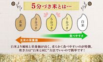 無地熨斗 令和6年産 コシヒカリ 5分づき米 5kg×1袋 長野県産 米 お米 ごはん ライス 分つき米 農家直送 産直 信州 人気 ギフト 平林農園 熨斗 のし 名入れ不可 送料無料 長野県 大町市