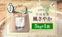 無地熨斗 令和6年産 風さやか 無洗米 5kg×1袋 長野県産 米 白米 精米 お米 ごはん ライス 甘み 産直 信州 人気 ギフト 時短 平林農園 熨斗 のし 名入れ不可 送料無料 長野県 大町市