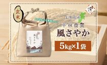 無地熨斗 令和6年産 風さやか 玄米 5kg×1袋 長野県産 米 お米 ごはん ライス 低GI 甘み 農家直送 産直 信州 人気 ギフト 平林農園 熨斗 のし 名入れ不可 送料無料 長野県 大町市