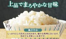 無地熨斗 令和6年産 風さやか 5分づき米 5kg×1袋 長野県産 米 お米 ごはん ライス 分つき米 農家直送 産直 信州 人気 ギフト 平林農園 熨斗 のし 名入れ不可 送料無料 長野県 大町市