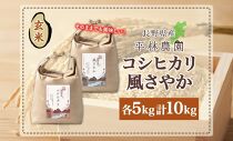 令和6年産 コシヒカリ 風さやか 玄米 各5kg 長野県産 米 お米 ごはん ライス 低GI 甘み 農家直送 産直 信州 人気 ギフト お取り寄せ 平林農園 送料無料 長野県 大町市