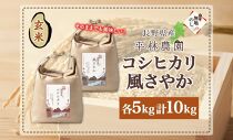 無地熨斗 令和6年産 コシヒカリ 風さやか 玄米 各5kg 長野県産 米 お米 ごはん ライス 低GI 甘み 産直 信州 人気 ギフト 平林農園 熨斗 のし 名入れ不可 送料無料 長野県 大町市