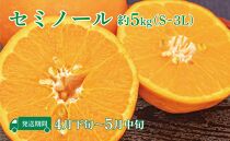 【全5回定期便】旬の柑橘類コース【旬の味覚市場】