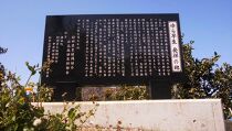 【先行予約】和歌山由良町産&nbsp;由良早生みかん&nbsp;約3kg&nbsp;&nbsp;訳あり&nbsp;キズ&nbsp;御家庭用&nbsp;サイズ混合【SL7】