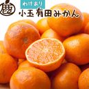 ＜11月より発送＞家庭用　小玉な有田みかん5kg+150g（傷み補償分）【わけあり・訳あり】【光センサー選果】