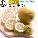 ＜9月より発送＞厳選 黒潮レモン5kg+150g（傷み補償分）【和歌山有田産】【防腐剤・WAX不使用、安心の国産レモン】