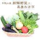 和歌山産 真妻わさびと旬の新鮮野菜セット10種