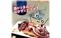 お試しサイズで一人暮らしにも！肉厚烏賊の一夜干し4尾（620g以上）_2433R