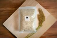 【保存料不使用】米麹(1kg)・生甘酒(450ml)・塩麹(450ml)　お試しセット｜発酵食品&nbsp;無添加&nbsp;&nbsp;健康志向&nbsp;人気&nbsp;おすすめ&nbsp;&nbsp;腸活&nbsp;美容&nbsp;料理調味料&nbsp;&nbsp;低カロリー&nbsp;&nbsp;ギフト&nbsp;送料無料&nbsp;長野県&nbsp;大町市&nbsp;ふるさと納税