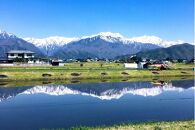 【保存料不使用】米麹(1kg)・生甘酒(450ml)・塩麹(450ml)　お試しセット｜発酵食品&nbsp;無添加&nbsp;&nbsp;健康志向&nbsp;人気&nbsp;おすすめ&nbsp;&nbsp;腸活&nbsp;美容&nbsp;料理調味料&nbsp;&nbsp;低カロリー&nbsp;&nbsp;ギフト&nbsp;送料無料&nbsp;長野県&nbsp;大町市&nbsp;ふるさと納税