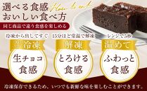 チョコのnobebou（ガトーショコラ・抹茶テリーヌ）Wダブル（500g×2）