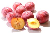 【定期便 ６回 】桃とすももと葡萄の定期便