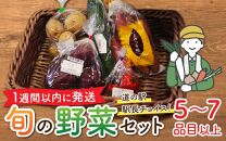 【1週間以内に発送】道の駅駅長チョイス！ 旬の野菜セット 5品目以上 / 季節 野菜 ボックス BOX セット セレクト 農家 おまかせ 多品目 旬 詰め合わせ 根菜 葉物