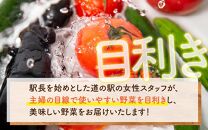 【1週間以内に発送】道の駅駅長チョイス！ 旬の野菜セット 5品目以上 / 季節 野菜 ボックス BOX セット セレクト 農家 おまかせ 多品目 旬 詰め合わせ 根菜 葉物