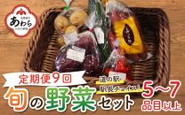 【定期便9回】道の駅駅長チョイス！ 旬の野菜セット 5品目以上 / 季節 野菜 ボックス BOX セット セレクト 農家 おまかせ 多品目 旬 詰め合わせ 根菜 葉物