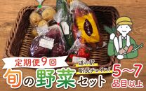 【定期便9回】道の駅駅長チョイス！ 旬の野菜セット 5品目以上 / 季節 野菜 ボックス BOX セット セレクト 農家 おまかせ 多品目 旬 詰め合わせ 根菜 葉物