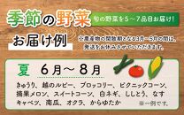 【定期便9回】道の駅駅長チョイス！ 旬の野菜セット 5品目以上 / 季節 野菜 ボックス BOX セット セレクト 農家 おまかせ 多品目 旬 詰め合わせ 根菜 葉物