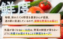 【定期便9回】道の駅駅長チョイス！ 旬の野菜セット 5品目以上 / 季節 野菜 ボックス BOX セット セレクト 農家 おまかせ 多品目 旬 詰め合わせ 根菜 葉物